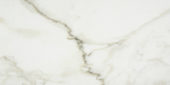 Amalfi Calacatta Honed 12X24 |  Carpet Barn Carpet One Inc.