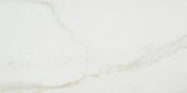 Amalfi Calacatta Honed 24X48 |  Carpet Barn Carpet One Inc.