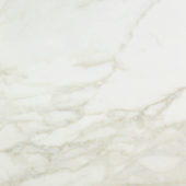 Amalfi Calacatta Polished 24X24 |  Carpet Barn Carpet One Inc.