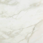 Amalfi Calacatta Polished 24X24 |  Carpet Barn Carpet One Inc.