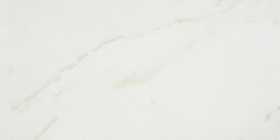 Amalfi Calacatta Polished 24X48 |  Carpet Barn Carpet One Inc.