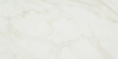 Amalfi Calacatta Polished 24X48 |  Carpet Barn Carpet One Inc.