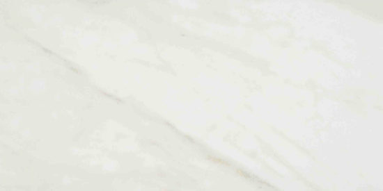 Amalfi Calacatta Polished 24X48 |  Carpet Barn Carpet One Inc.