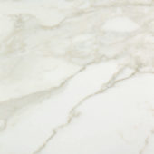 Amalfi Calacatta Polished 32X32 |  Carpet Barn Carpet One Inc.