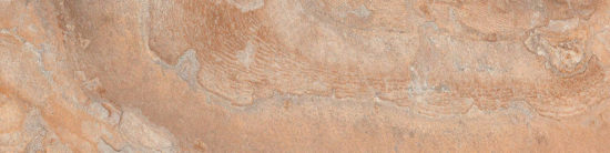 Annapurna Beige 3X12 Bullnose |  Carpet Barn Carpet One Inc.