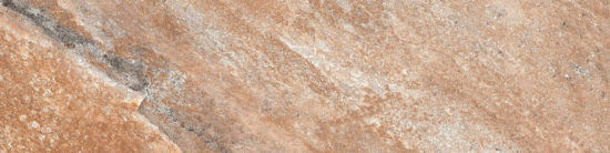 Annapurna Beige 3X12 Bullnose |  Carpet Barn Carpet One Inc.
