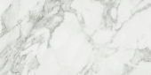 Arabescato Verona Honed 12X24 |  Carpet Barn Carpet One Inc.