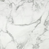 Arabescato Verona Honed 24X24 |  Carpet Barn Carpet One Inc.