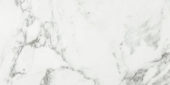 Arabescato Verona Honed 24X48 |  Carpet Barn Carpet One Inc.