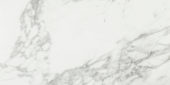 Arabescato Verona Honed 24X48 |  Carpet Barn Carpet One Inc.