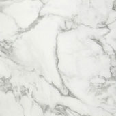 Arabescato Verona Honed 32X32 |  Carpet Barn Carpet One Inc.