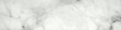 Arabescato Verona Honed 3X12 Bullnose |  Carpet Barn Carpet One Inc.