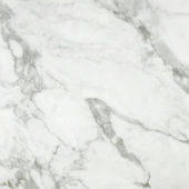 Arabescato Verona Polished 24X24 |  Carpet Barn Carpet One Inc.