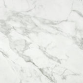 Arabescato Verona Polished 24X24 |  Carpet Barn Carpet One Inc.