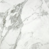 Arabescato Verona Polished 24X24 |  Carpet Barn Carpet One Inc.