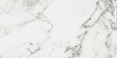 Arabescato Verona Polished 24X48 |  Carpet Barn Carpet One Inc.