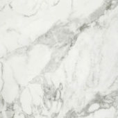 Arabescato Verona Polished 32X32 |  Carpet Barn Carpet One Inc.