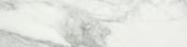 Arabescato Verona Polished 3X12 Bullnose |  Carpet Barn Carpet One Inc.