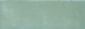 Aruba Moss Gloss 2x6 |  Carpet Barn Carpet One Inc.