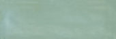 Aruba Moss Gloss 2x6 |  Carpet Barn Carpet One Inc.
