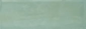 Aruba Moss Gloss 2x6 |  Carpet Barn Carpet One Inc.