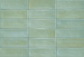 Aruba Moss Gloss 2x6 |  Carpet Barn Carpet One Inc.
