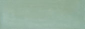 Aruba Moss Gloss 2x6 |  Carpet Barn Carpet One Inc.