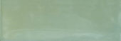 Aruba Moss Gloss 2x6 |  Carpet Barn Carpet One Inc.