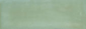 Aruba Moss Gloss 2x6 |  Carpet Barn Carpet One Inc.