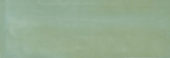 Aruba Moss Gloss 2x6 |  Carpet Barn Carpet One Inc.