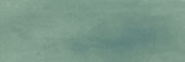 Aruba Moss Matt 2x6 |  Carpet Barn Carpet One Inc.
