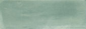 Aruba Moss Matt 2x6 |  Carpet Barn Carpet One Inc.