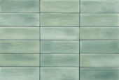Aruba Moss Matt 2x6 |  Carpet Barn Carpet One Inc.