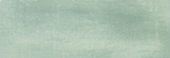 Aruba Moss Matt 2x6 |  Carpet Barn Carpet One Inc.