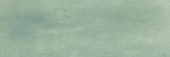Aruba Moss Matt 2x6 |  Carpet Barn Carpet One Inc.