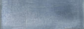 Aruba Night Blue Gloss 2x6 |  Carpet Barn Carpet One Inc.