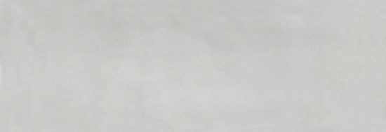 Aruba Silver Gloss 2x6 |  Carpet Barn Carpet One Inc.