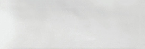Aruba White Gloss 2x6 |  Carpet Barn Carpet One Inc.