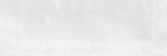 Aruba White Matt 2x6 |  Carpet Barn Carpet One Inc.