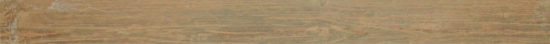Aurora Multi 3X36 Bullnose |  Carpet Barn Carpet One Inc.