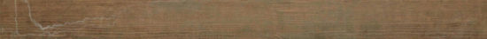 Aurora Multi 3X36 Bullnose |  Carpet Barn Carpet One Inc.