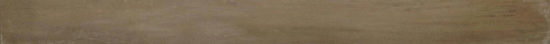 Aurora Multi 3X36 Bullnose |  Carpet Barn Carpet One Inc.