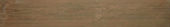 Aurora Multi 6X36 |  Carpet Barn Carpet One Inc.
