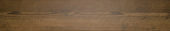 Autumn Forest 5.5X33F |  Carpet Barn Carpet One Inc.