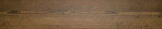 Autumn Forest 5.5X33F |  Carpet Barn Carpet One Inc.