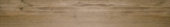 Autumn Forest 5.5X33F |  Carpet Barn Carpet One Inc.