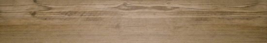 Autumn Forest 5.5X33F |  Carpet Barn Carpet One Inc.