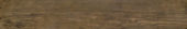 Autumn Forest 5.5X33F |  Carpet Barn Carpet One Inc.
