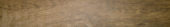 Autumn Forest 5.5X33F |  Carpet Barn Carpet One Inc.