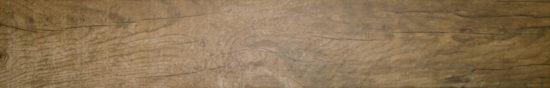 Autumn Forest 5.5X33F |  Carpet Barn Carpet One Inc.